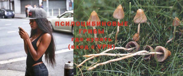 mix Аркадак