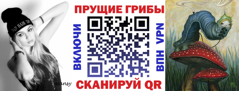 Галлюциногенные грибы GOLDEN TEACHER  цена   Михайлов 