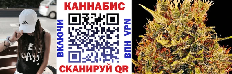 как найти наркотики  Михайлов  Бошки марихуана гибрид 